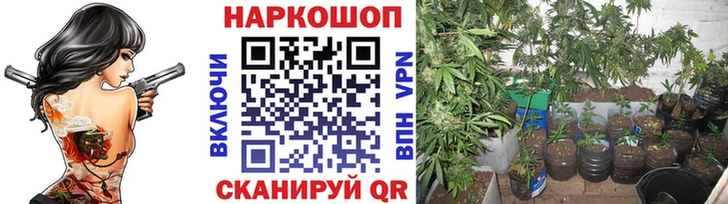 Где купить Лобня АМФ  Экстази  А ПВП  Конопля  COCAIN  ГАШ 